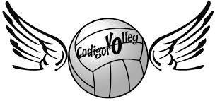 Logo Codigoro Volley